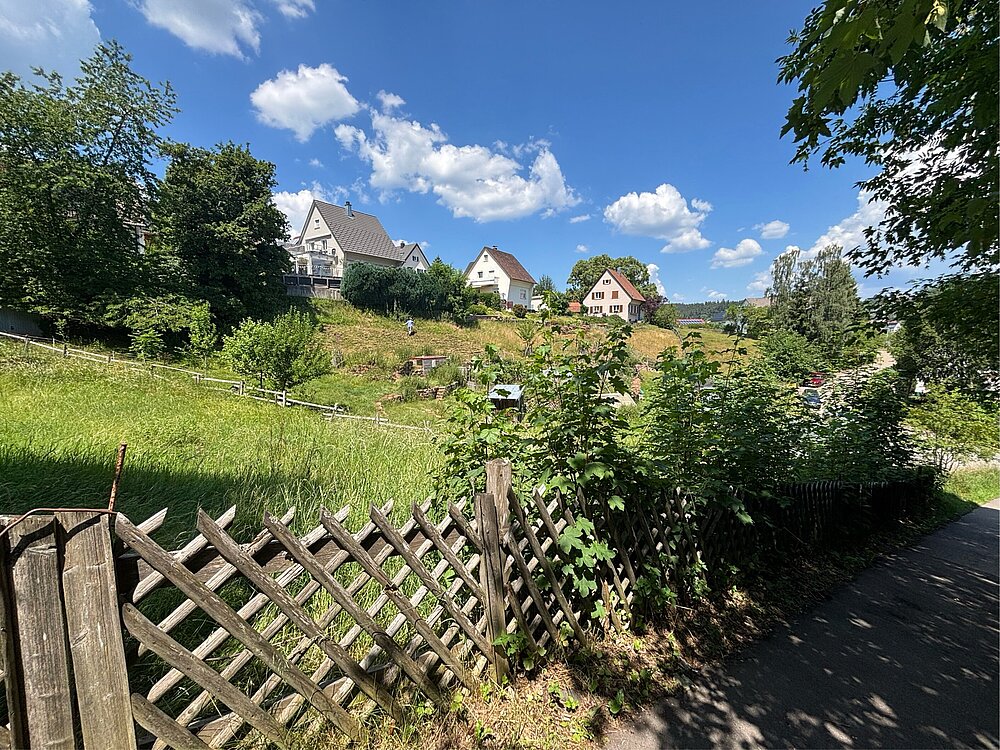 Bild 4.jpg Bild 4.jpg