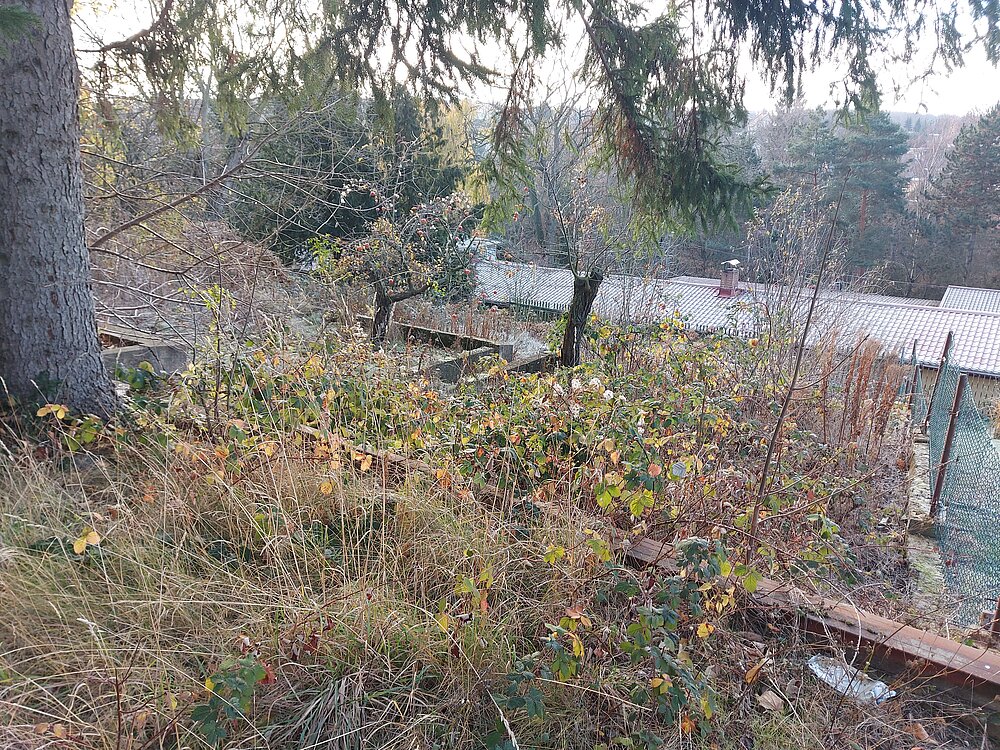 Grundstück (5).jpg Grundstück (5).jpg