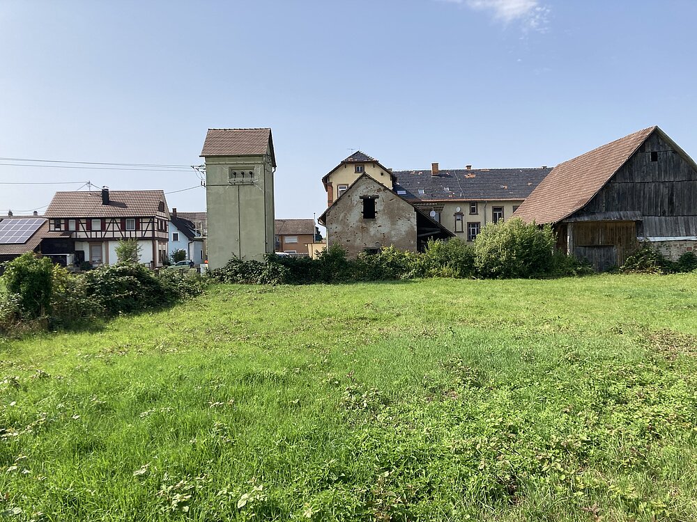 IMG_2899.JPG IMG_2899.JPG