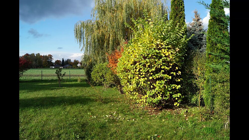 Dabendorf 2022 - frame at 1m20s.jpg Dabendorf 2022 - frame at 1m20s.jpg