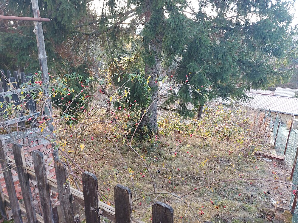 Grundstück (4).jpg Grundstück (4).jpg