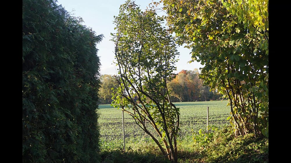 Dabendorf 2022 - frame at 1m48s.jpg Dabendorf 2022 - frame at 1m48s.jpg