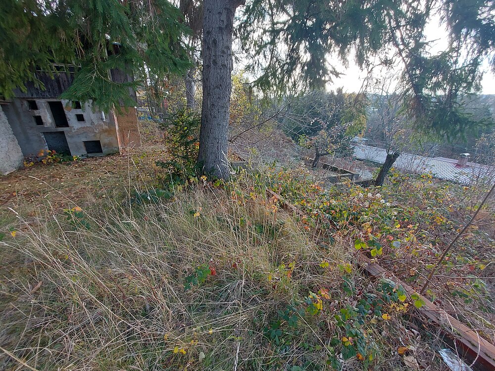 Grundstück (7).jpg Grundstück (7).jpg