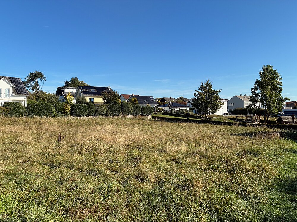 IMG_8861.jpg IMG_8861.jpg