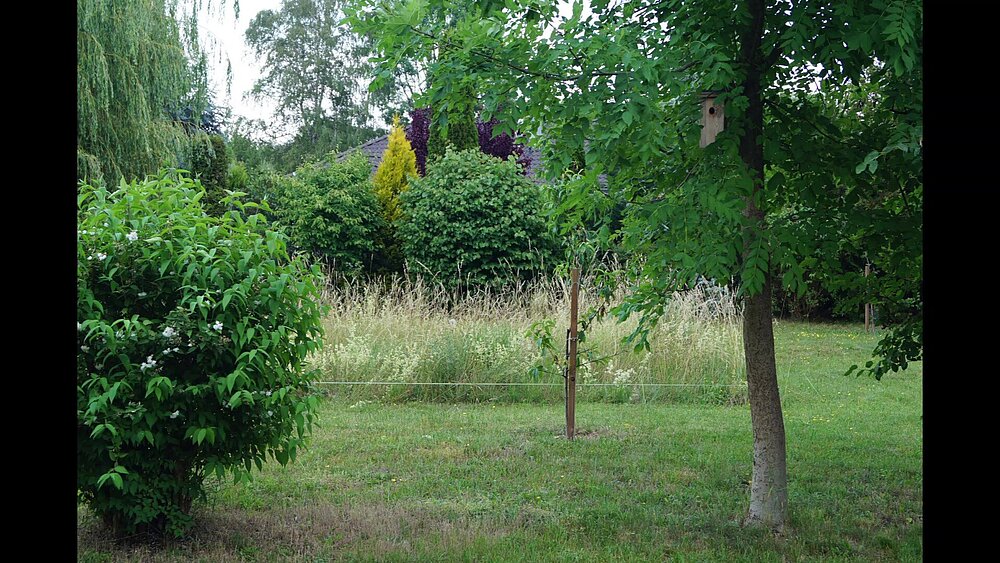 Dabendorf 2022 - frame at 0m48s.jpg Dabendorf 2022 - frame at 0m48s.jpg