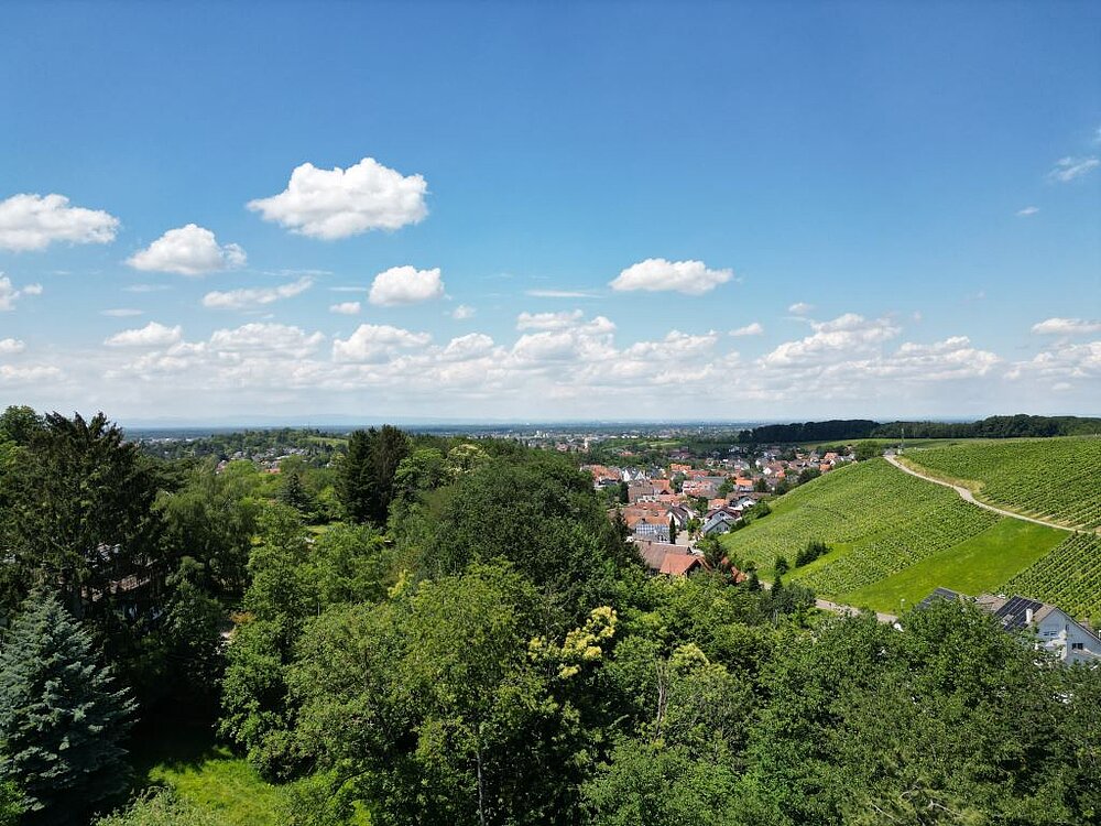 Zell Weierbach Ausblick.jpg Zell Weierbach Ausblick.jpg