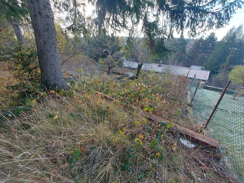 Grundstück (8).jpg Grundstück (8).jpg