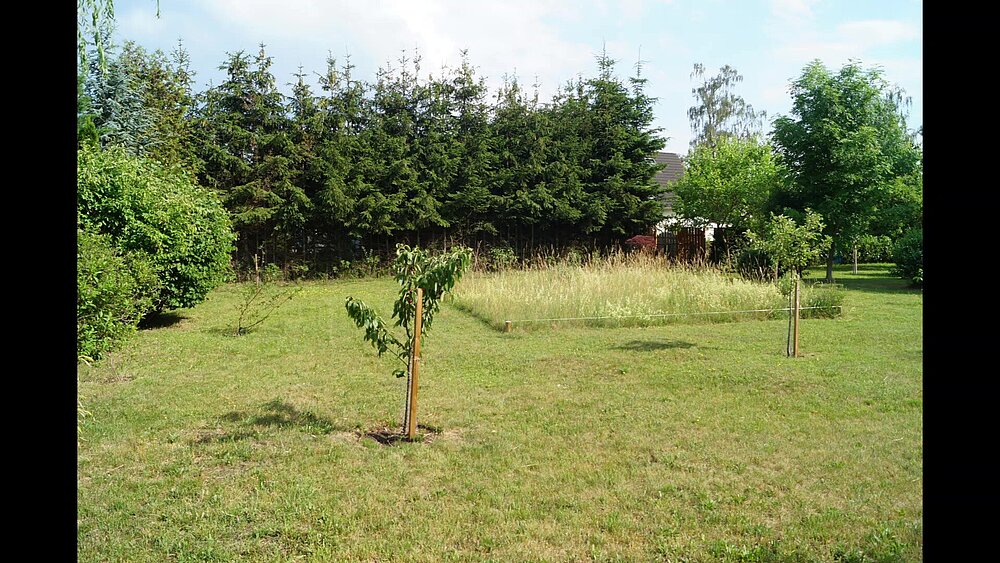 Dabendorf 2022 - frame at 0m19s.jpg Dabendorf 2022 - frame at 0m19s.jpg