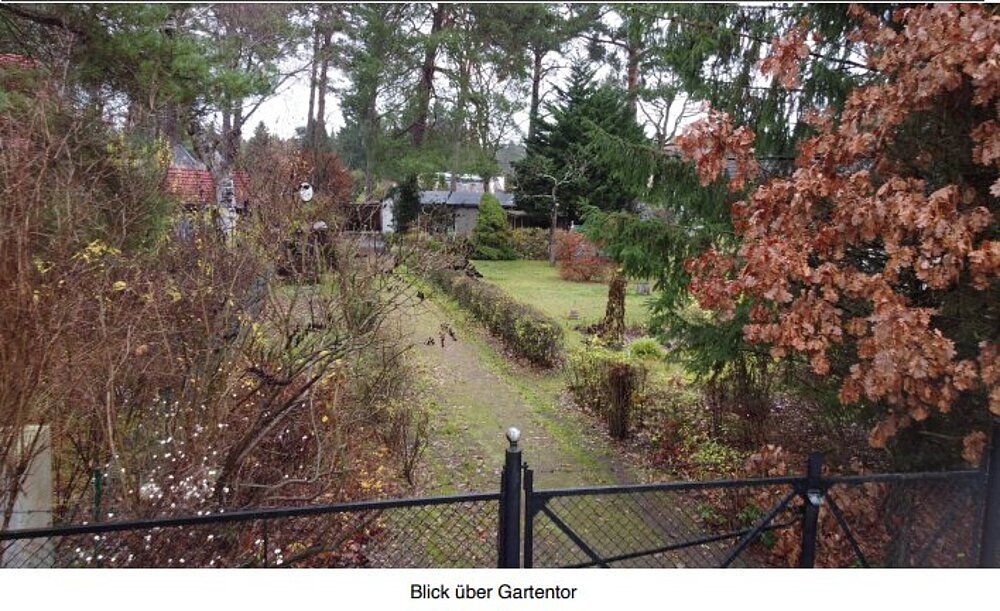 Blick über das Gartentor.png