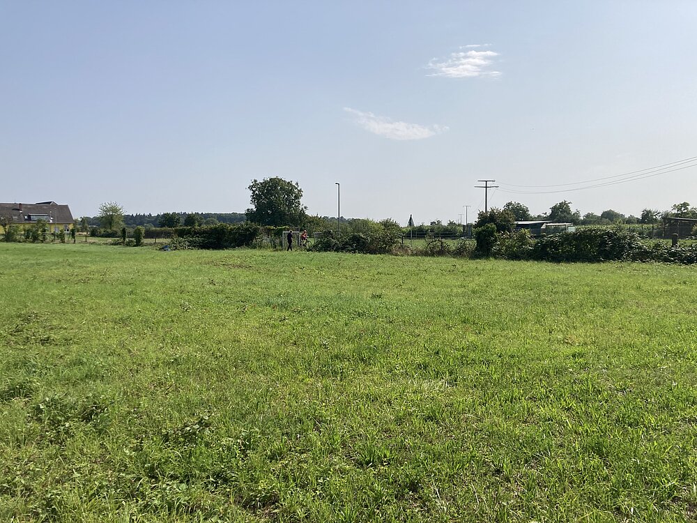 IMG_2905.JPG IMG_2905.JPG