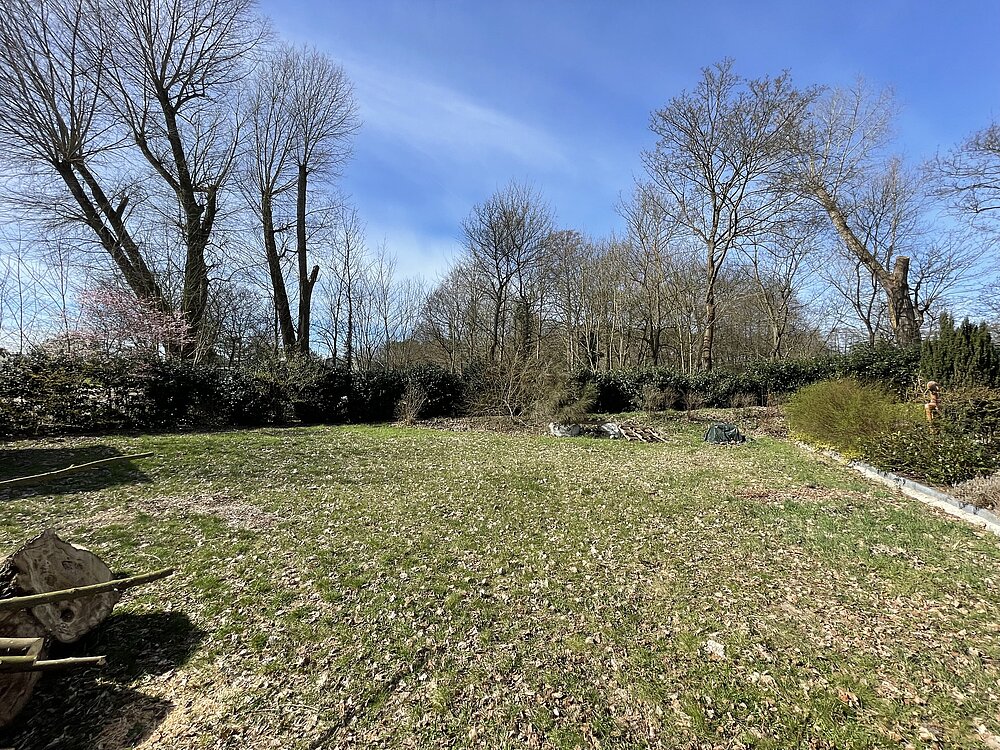 IMG_3921.jpeg IMG_3921.jpeg