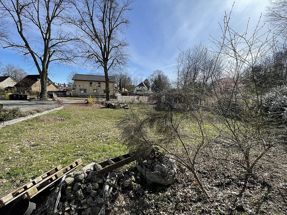 IMG_3924.jpeg IMG_3924.jpeg