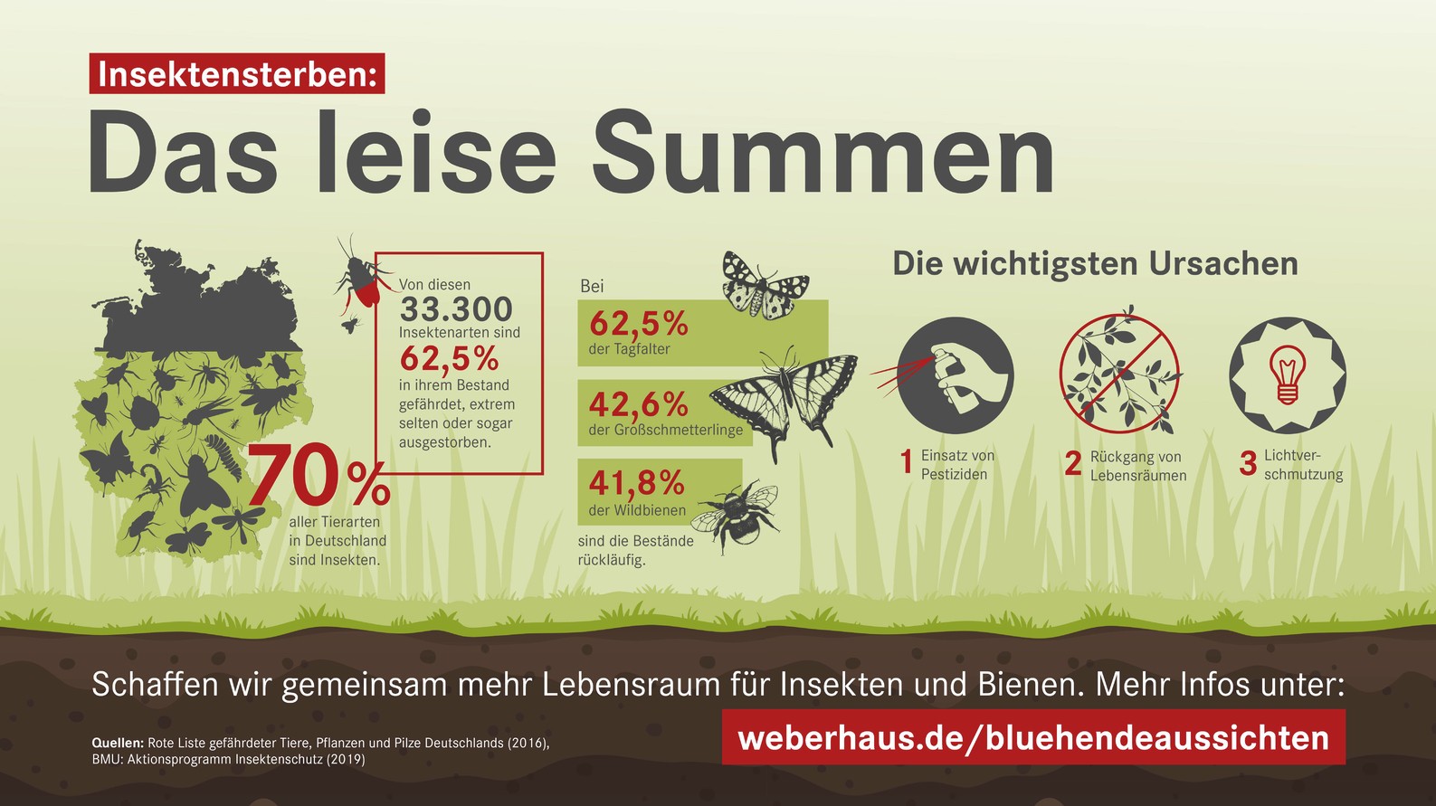 Gründe für Insektensterben