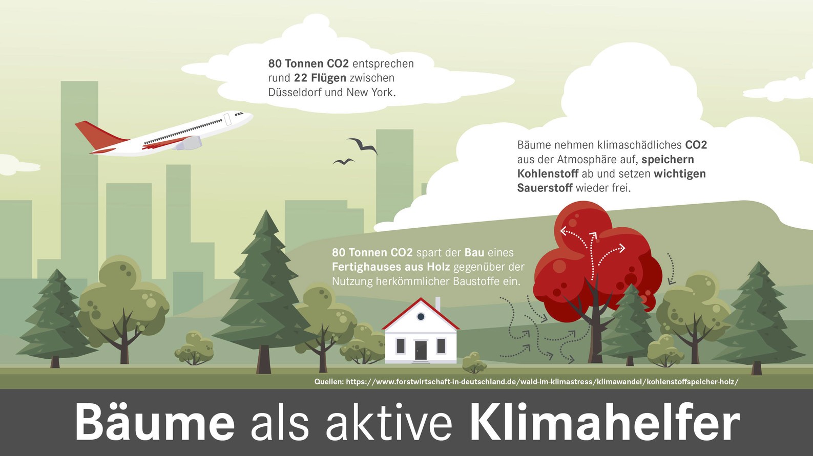 Bäume als aktiver Klimahelfer