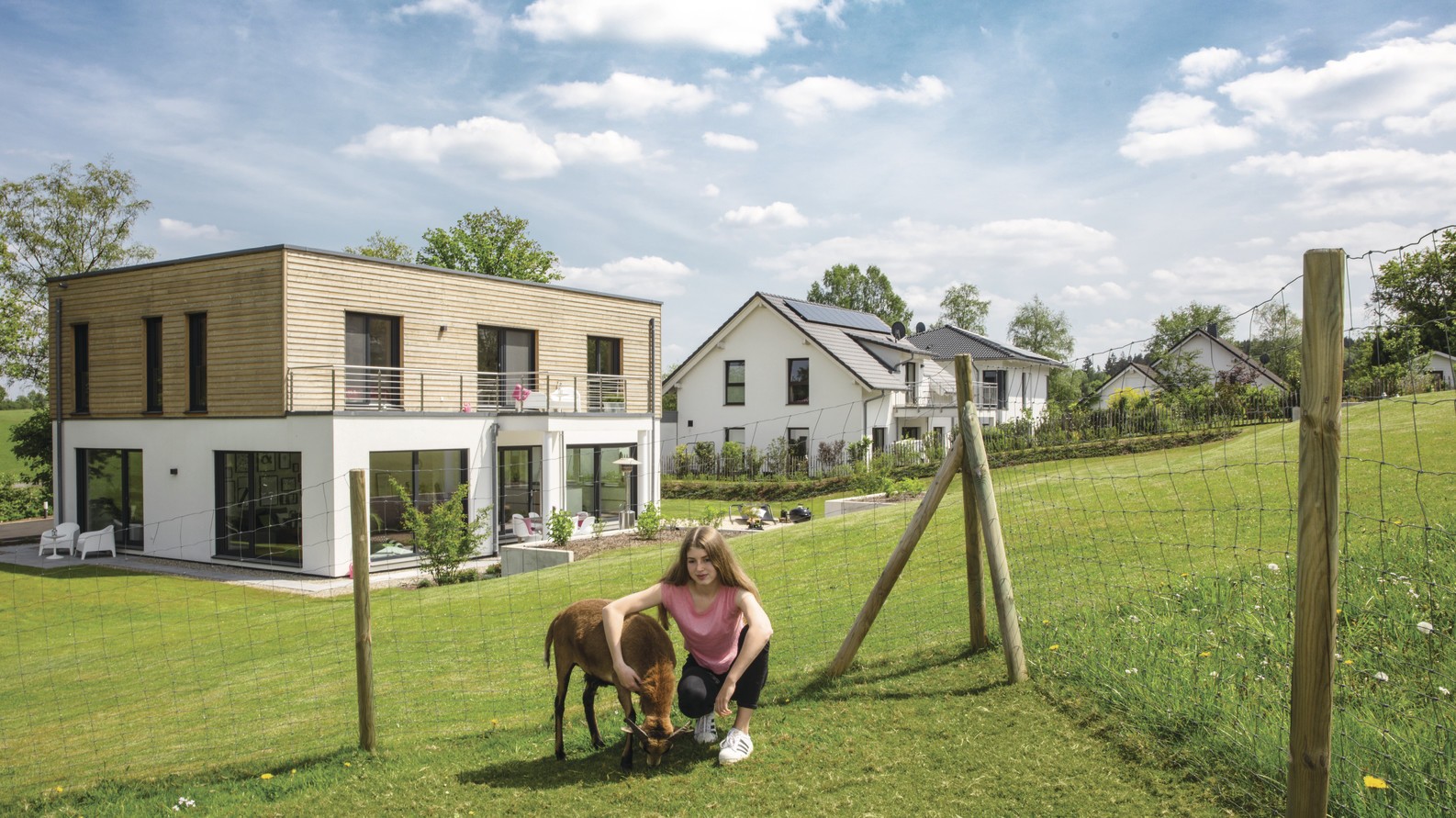 frei geplantes Architektenhaus mit Schafgehege