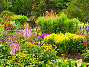 Stauden für den Garten 