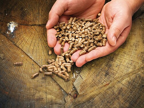 Zwei Hände halten eine Menge brauner Pellets über einer Holzoberfläche. Die Pellets sind klein und unregelmäßig geformt. Die Holzoberfläche zeigt die Jahresringe eines Baumstamms.