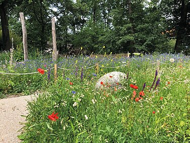 Biotop im Erlenpark