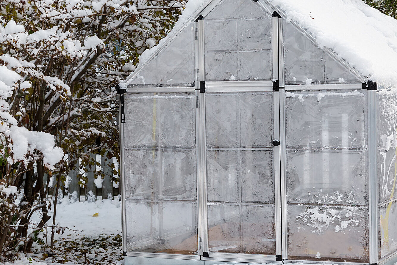 Eigenes Gemüse im Winter dank Gewächshaus