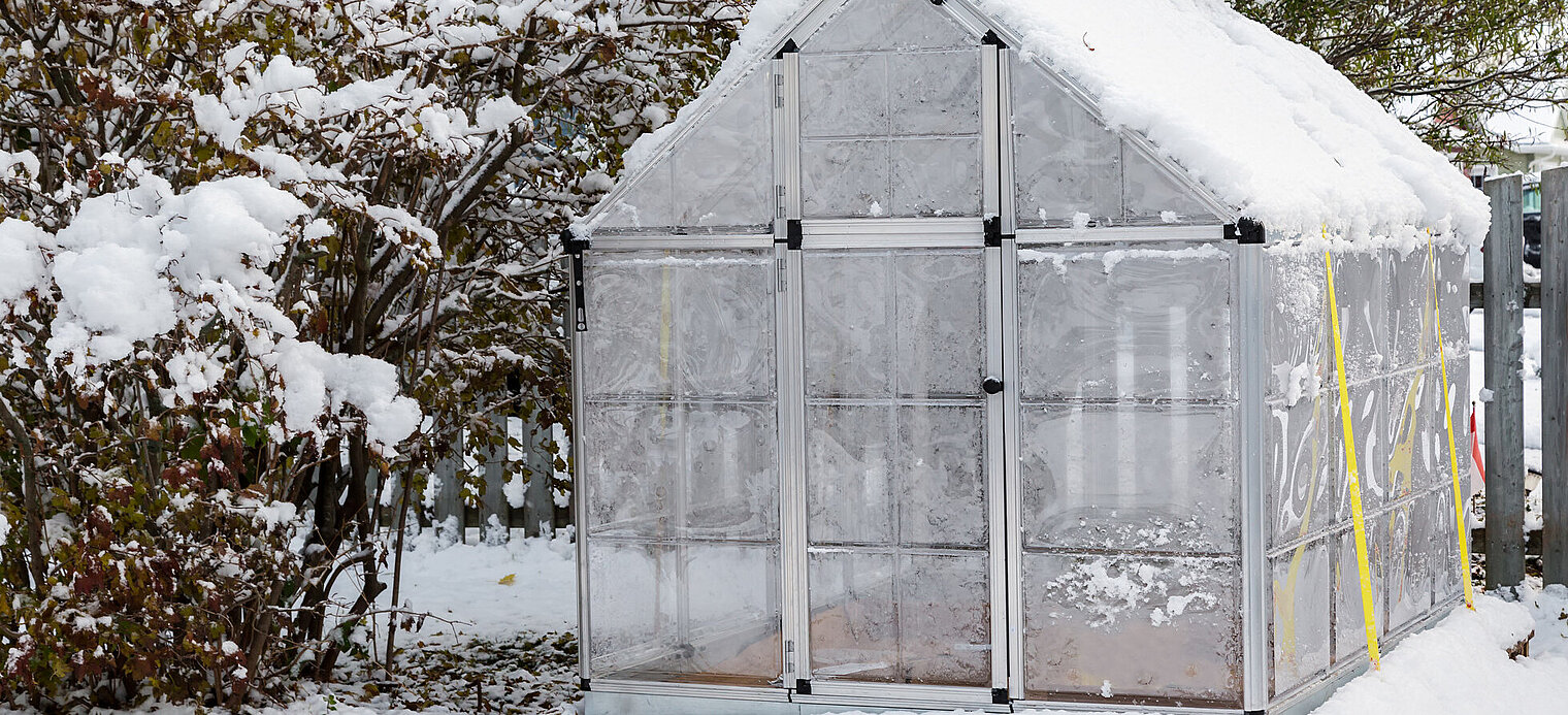 Eigenes Gemüse im Winter dank Gewächshaus