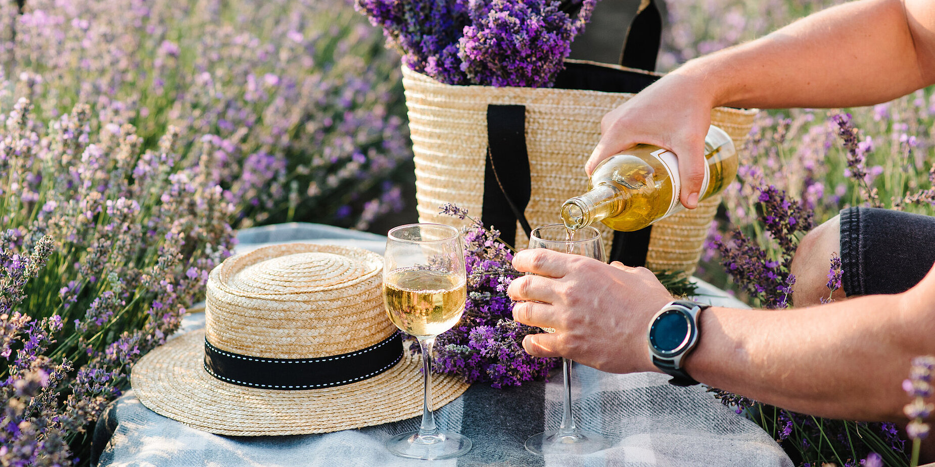 Lavendel im Garten