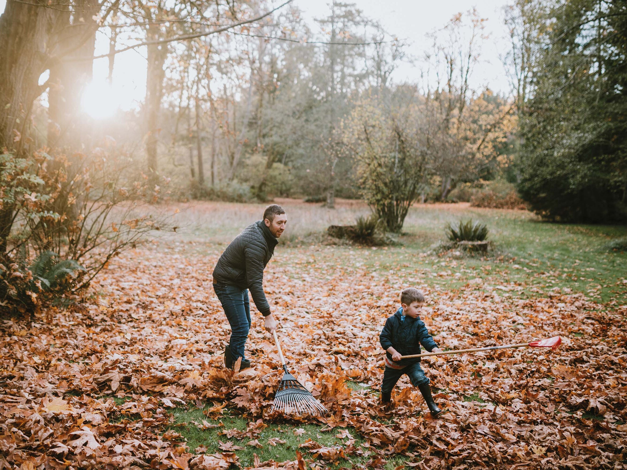 Vater und Sohn beim Laubharken