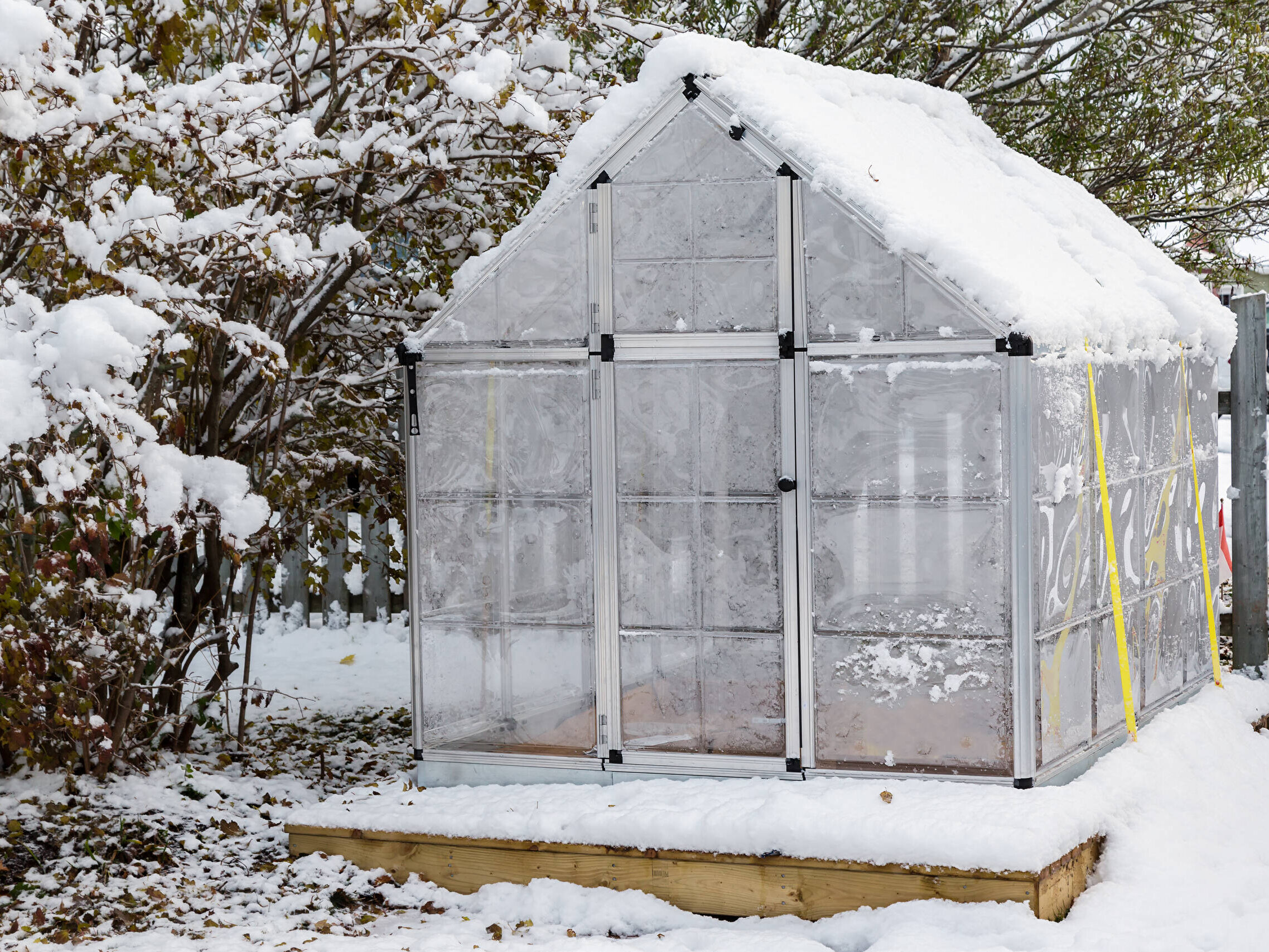 Eigenes Gemüse im Winter dank Gewächshaus