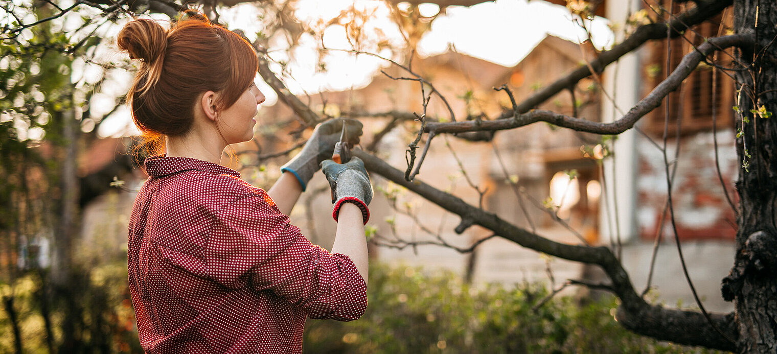 Frau beschneidet Äste eines Baumes