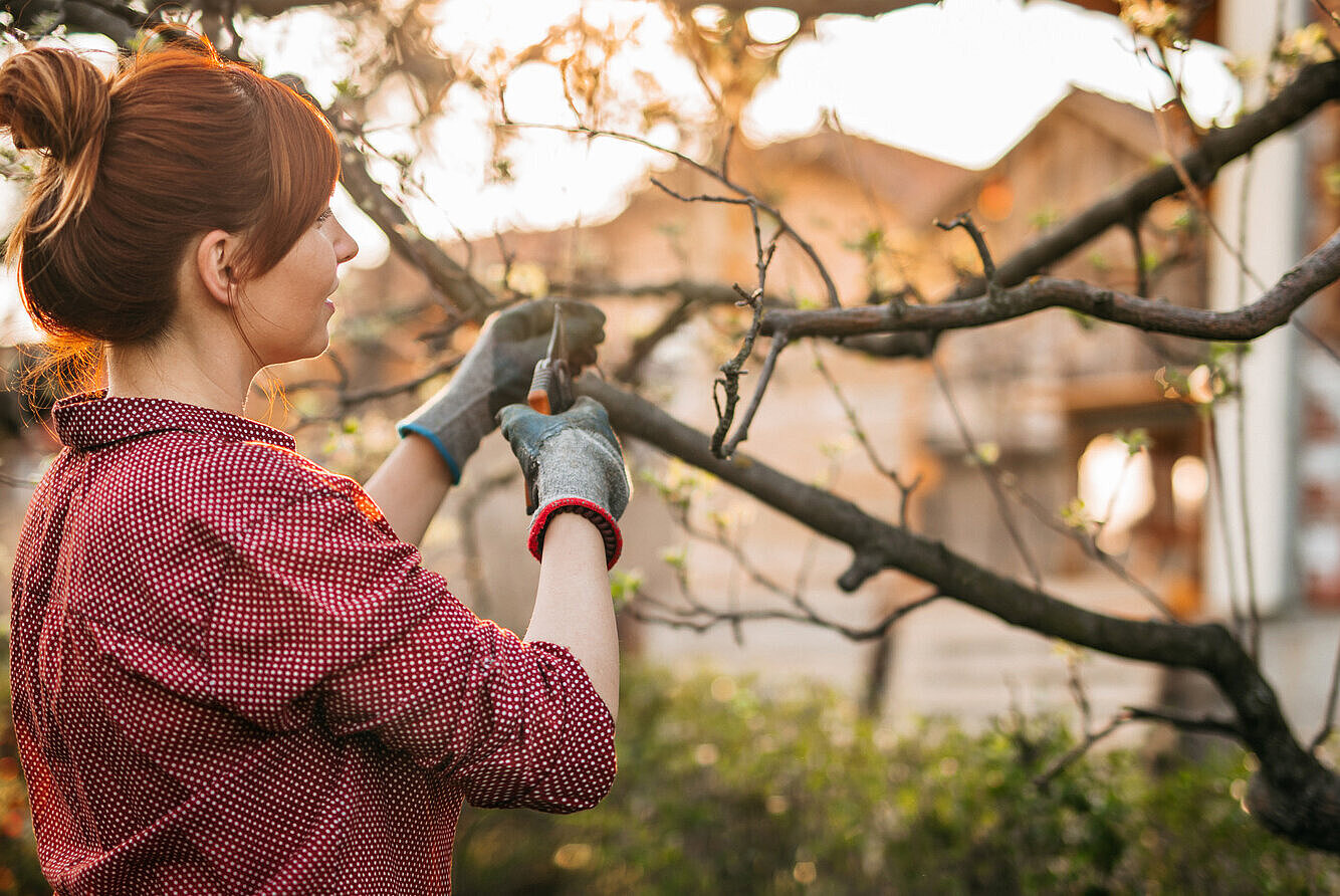 Frau beschneidet Äste eines Baumes