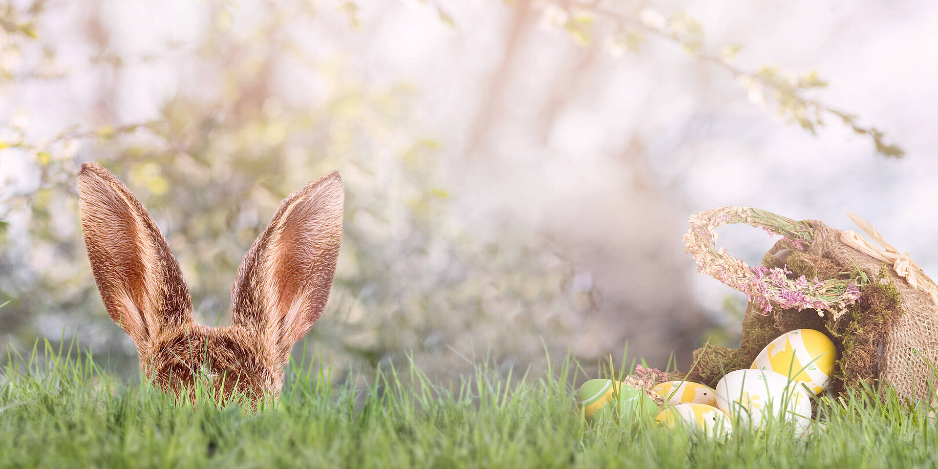 Osterhase versteckt sich hinter Grashalmen mit Osterkorb und Ostereiern